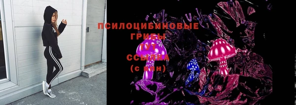 прущие грибы Алзамай