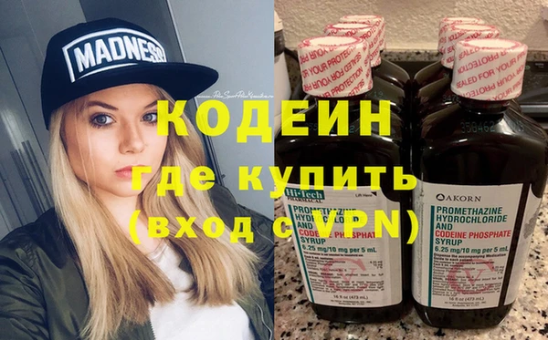 прущие грибы Алзамай