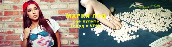 прущие грибы Алзамай